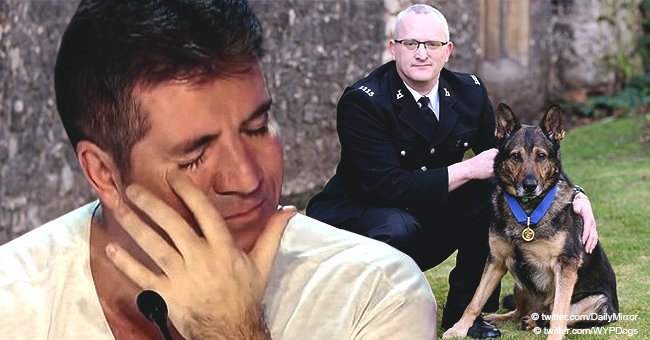 Simon Cowell rompe en llanto con el acto de un perro policía que casi fue apuñalado a muerte