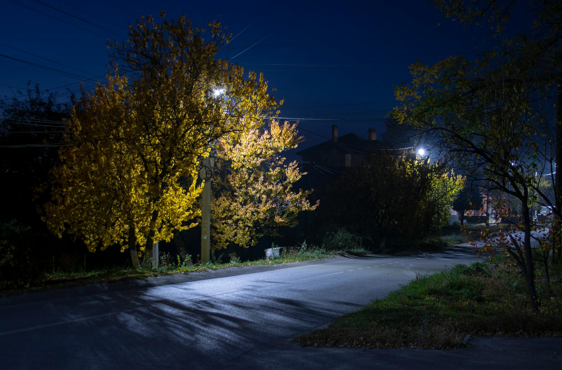 A neighborhood at night | Source: Pexels