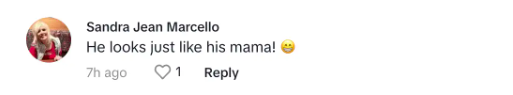 Fan comment about Paris Hilton and her baby, dated November 13, 2023 | Source: TikTok/parishilton