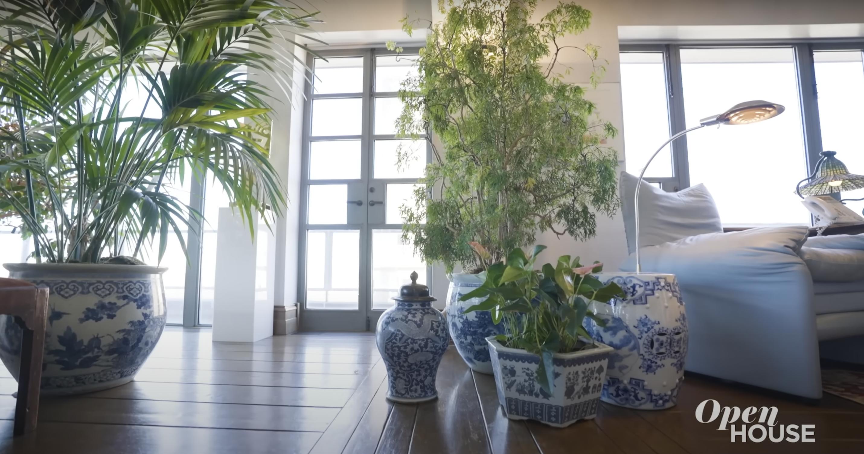 The beautiful plants in Marlo Thomas and Phil Donahue's New York penthouse. | Source: YouTube/Open House TV