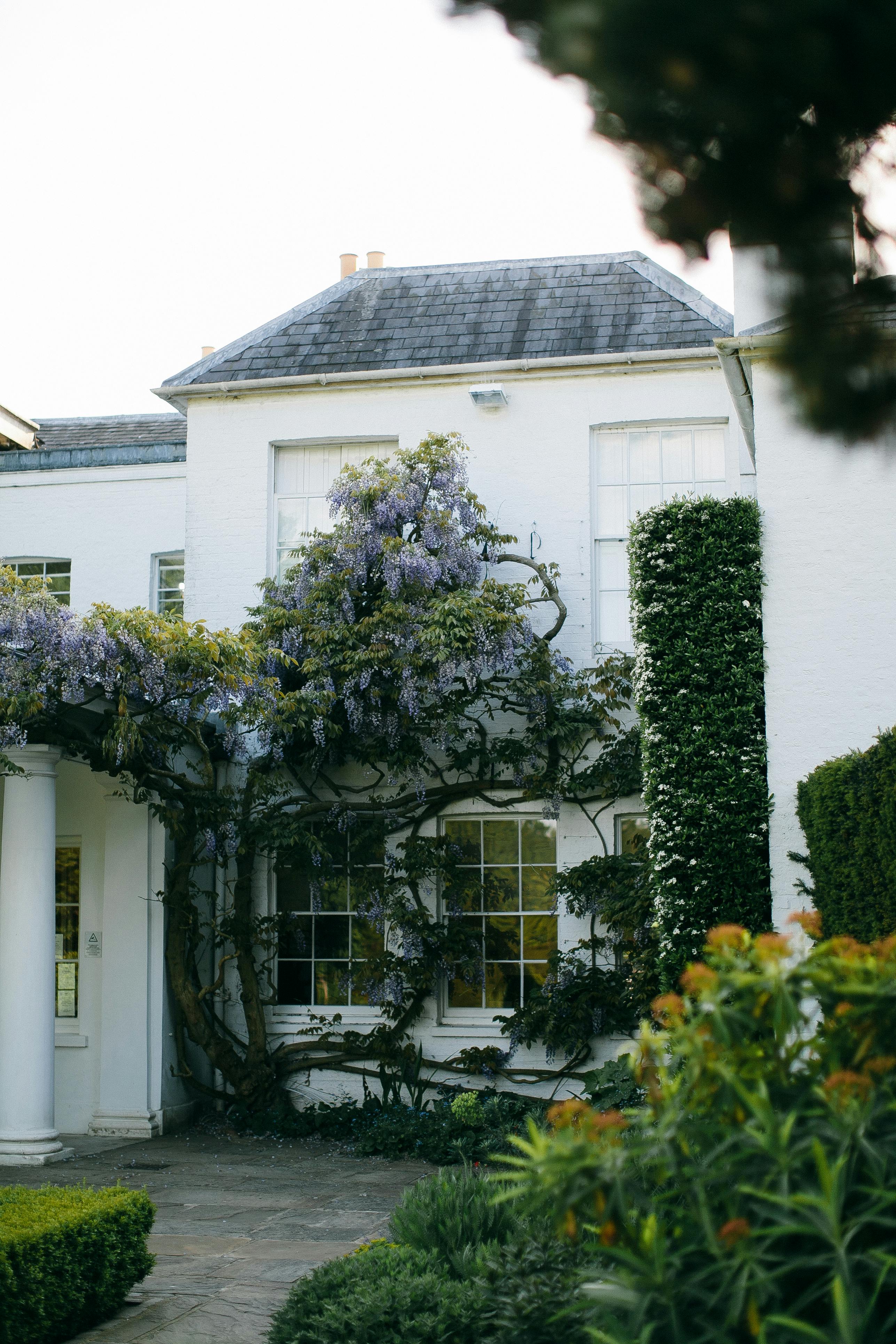 A white concrete mansion with green plants | Source: Pexels