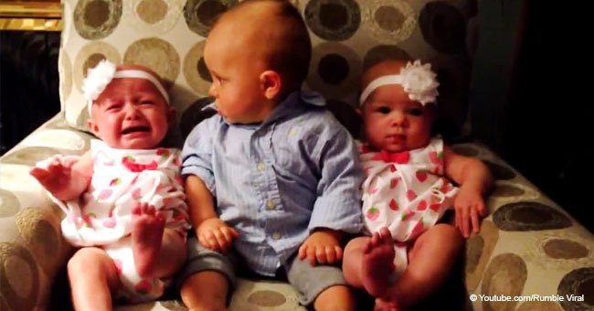 Toddler looks confused after seeing twin babies for the first time (video)