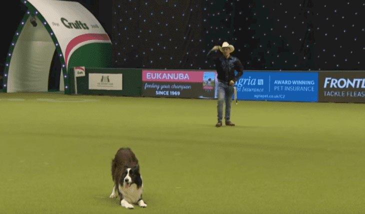 Source: Facebook/Crufts