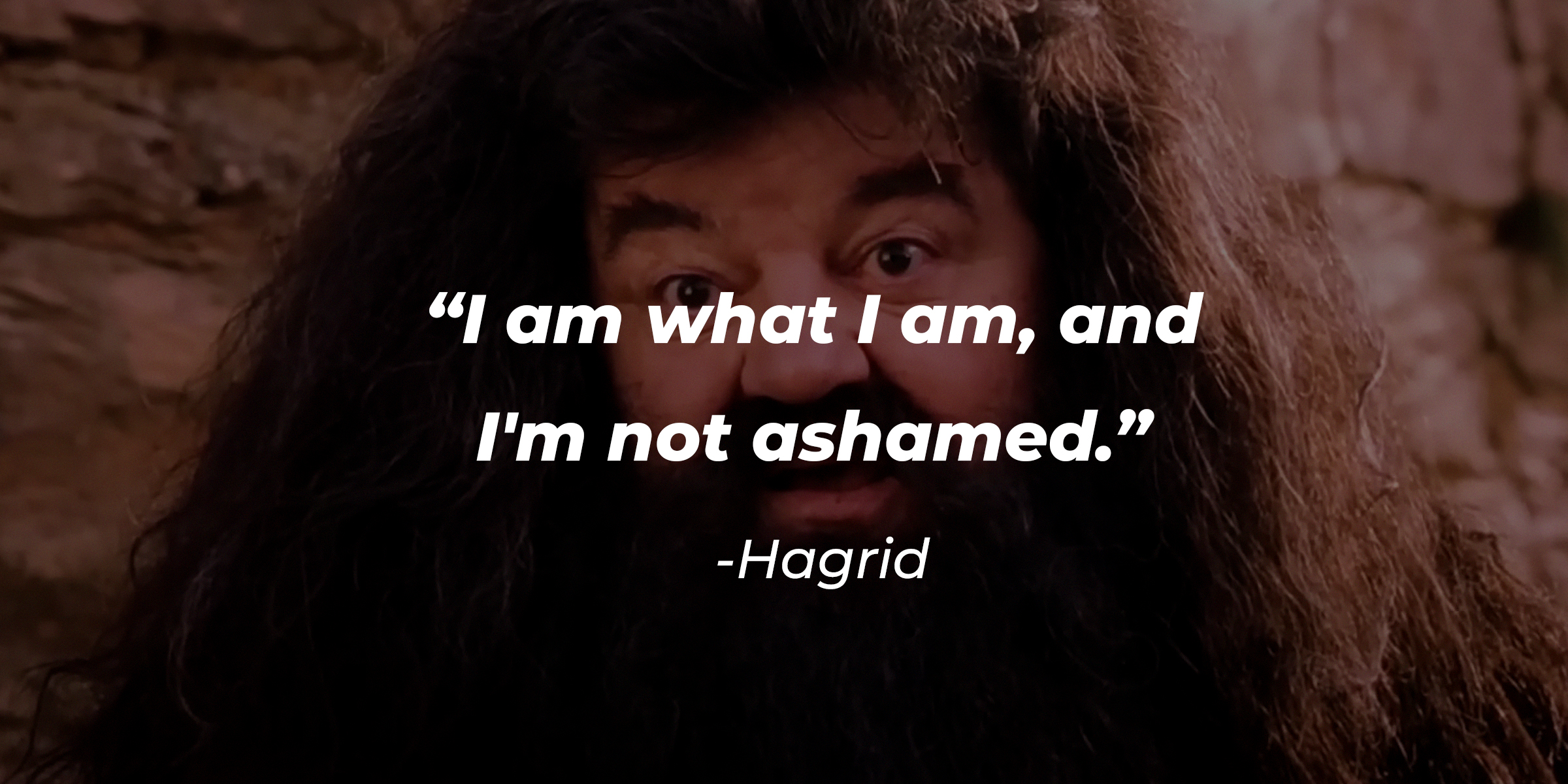A photo of Hagrid with the quote, "I am what I am, and I'm not ashamed." | Source: facebook.com/harrypotter