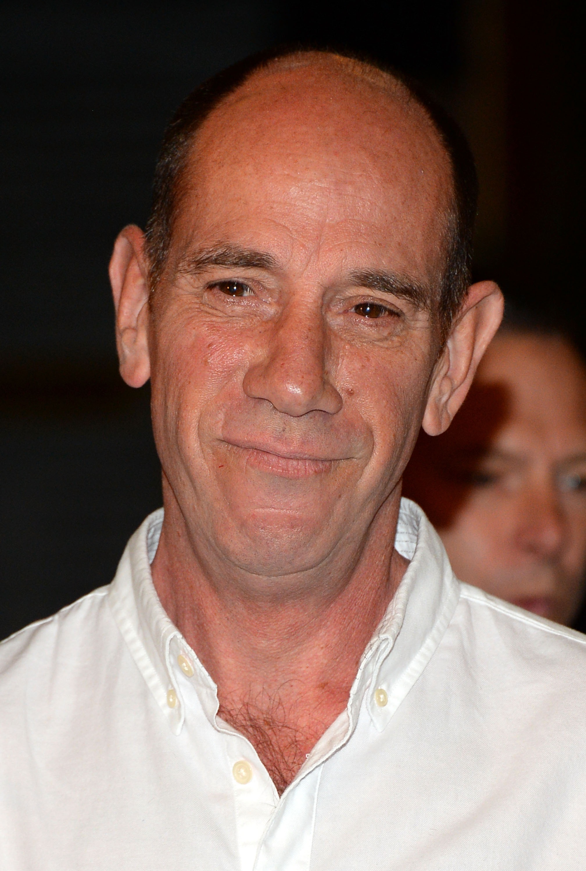 Miguel ferrer: assistant director owen granger.