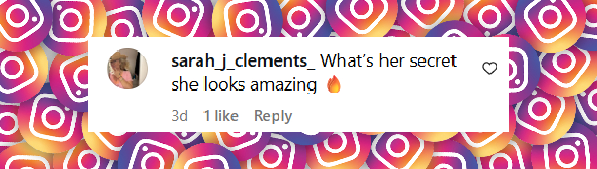 A fan comment under Elizabeth Hurley's post, shared on July 31, 2025. | Source: Instagram/elizabethhurley1