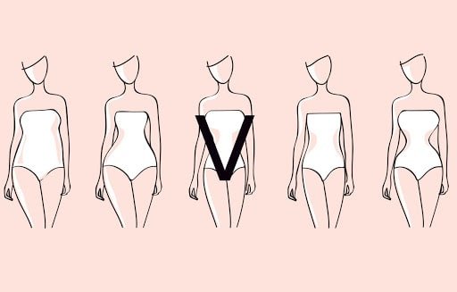 Morphologie V. | Photo : Unsplash