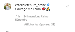 Capture d'écran du commentaire d'Estelle Lefébure sur le post Instagram de Laura Smet | Photo : Instagram/laura_smet_/