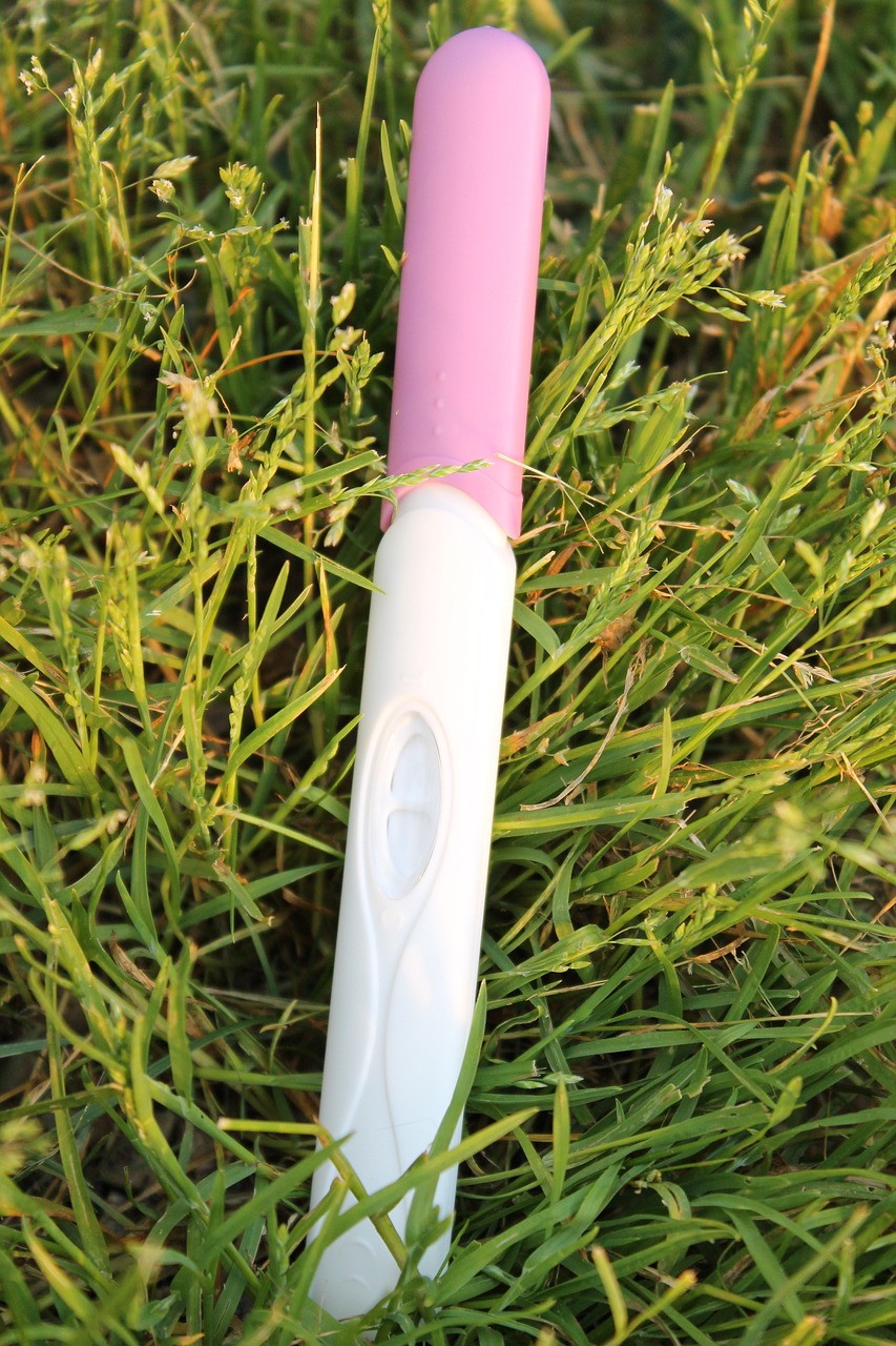 A pregnancy test on grass | Source: Pixabay