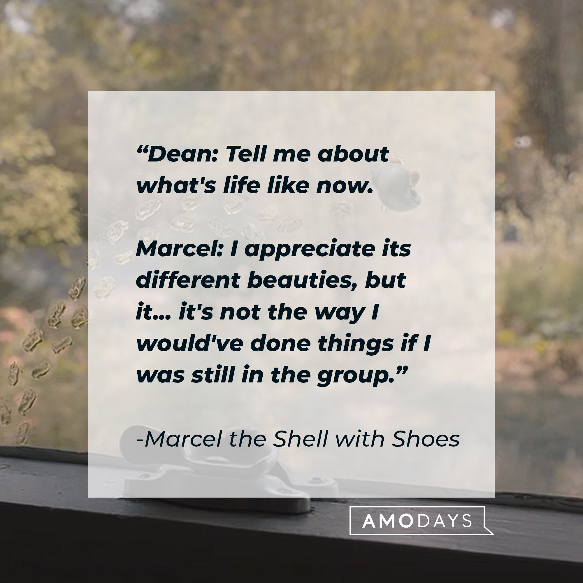 "Marcel the Shell with Shoes on" quote: “Dean: Tell me about what's life like now. Marcel: I appreciate its different beauties, but it... it's not the way I would've done things if I was still in the group.” | Source: youtube.com/A24