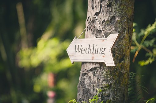 Wedding sign on a tree | Photo: Getty Images