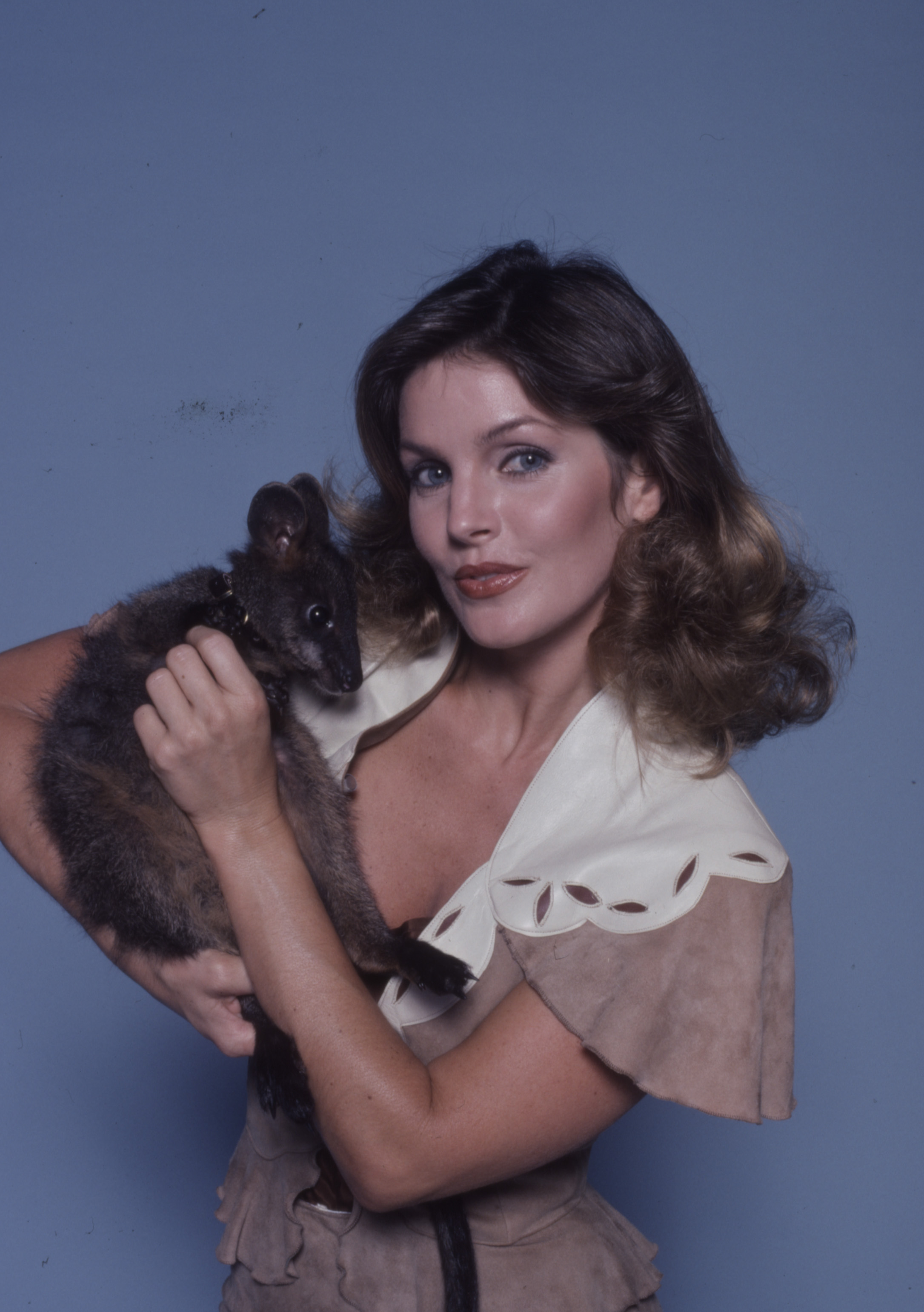 Priscilla Presley promotional photo for the ABC tv series "Those Amazing Animals" in Los Angeles, California, in 1980. | Source: Getty Images