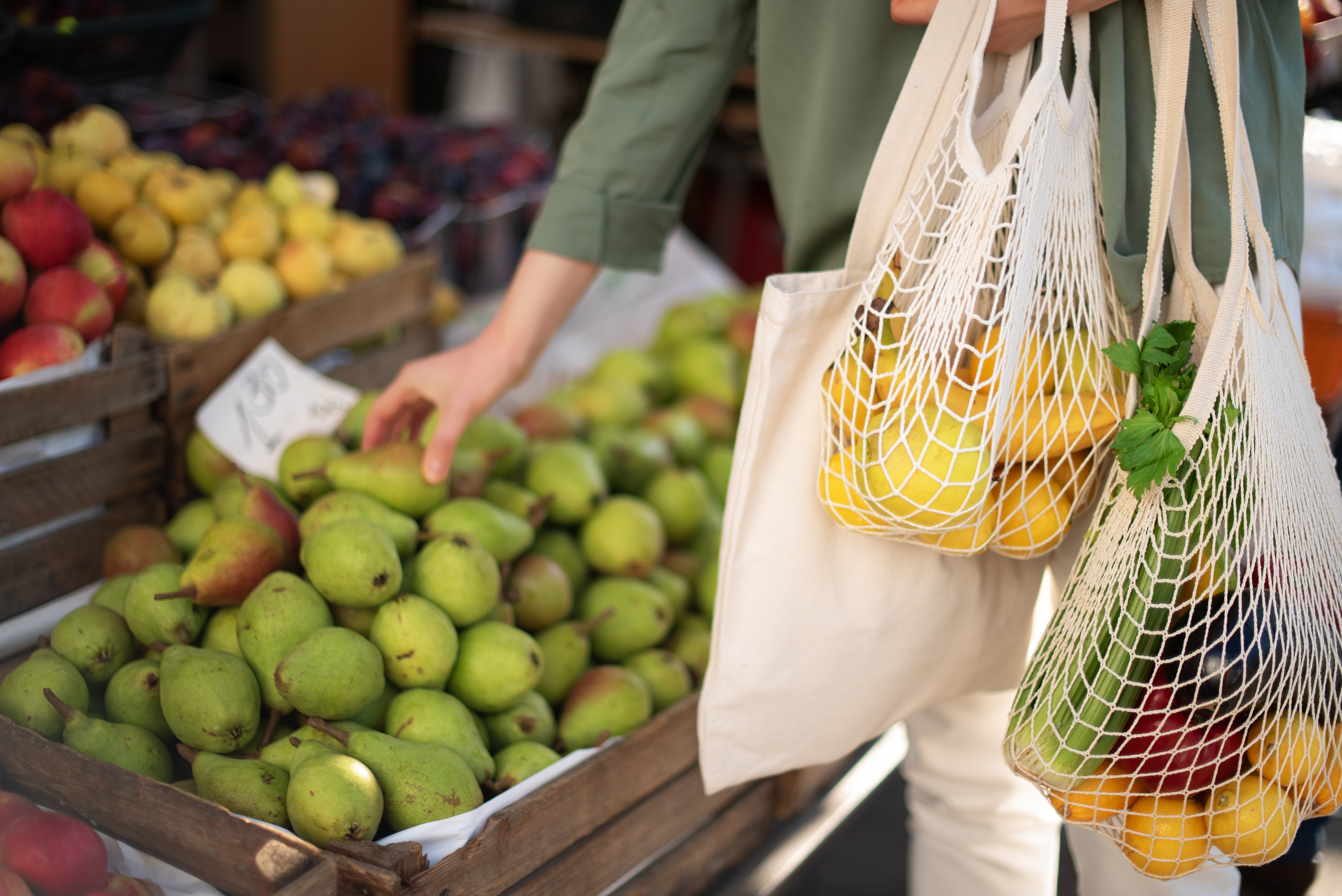 Reusable shopping bags | Source: Shutterstock