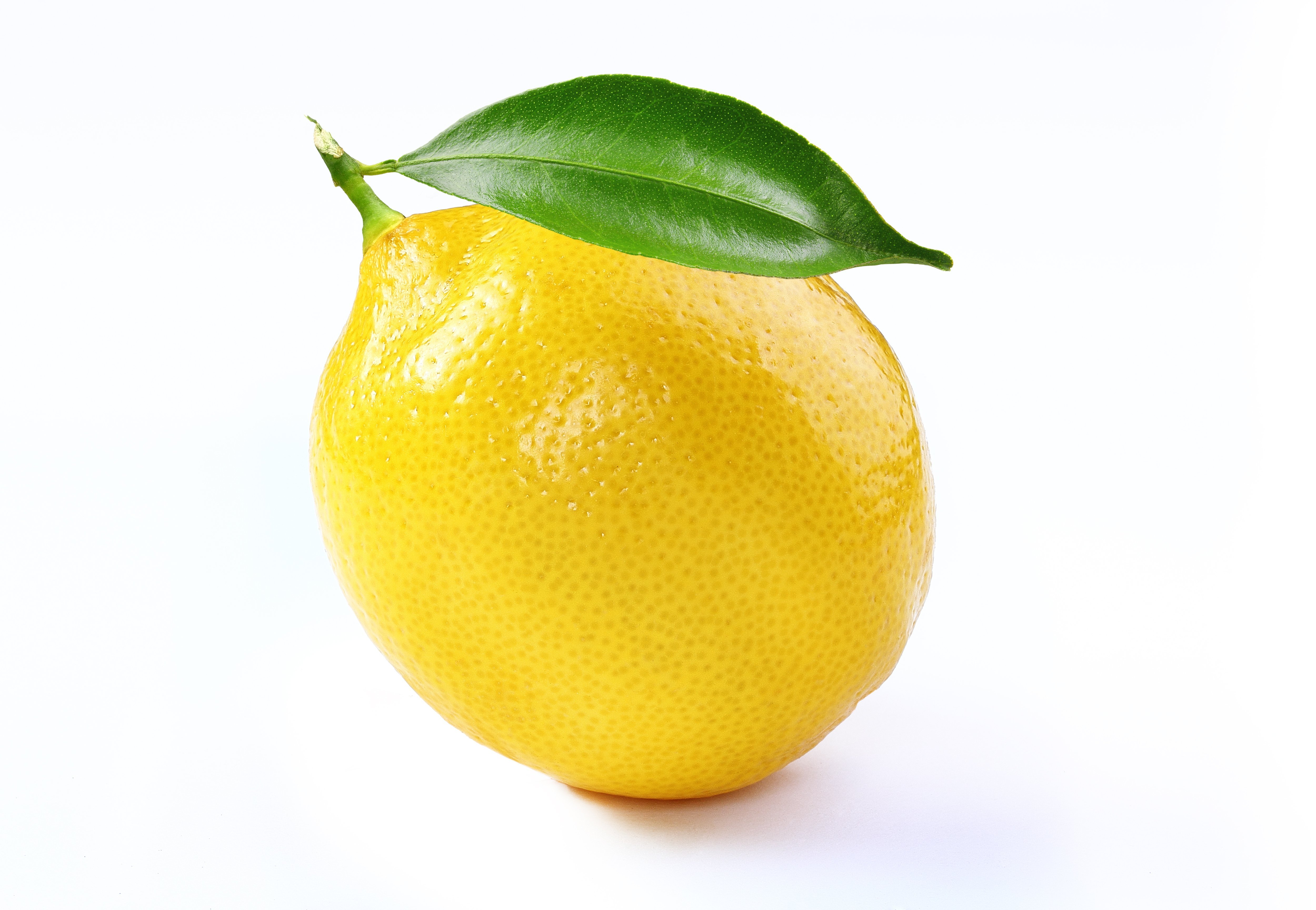 Source : Shutterstock