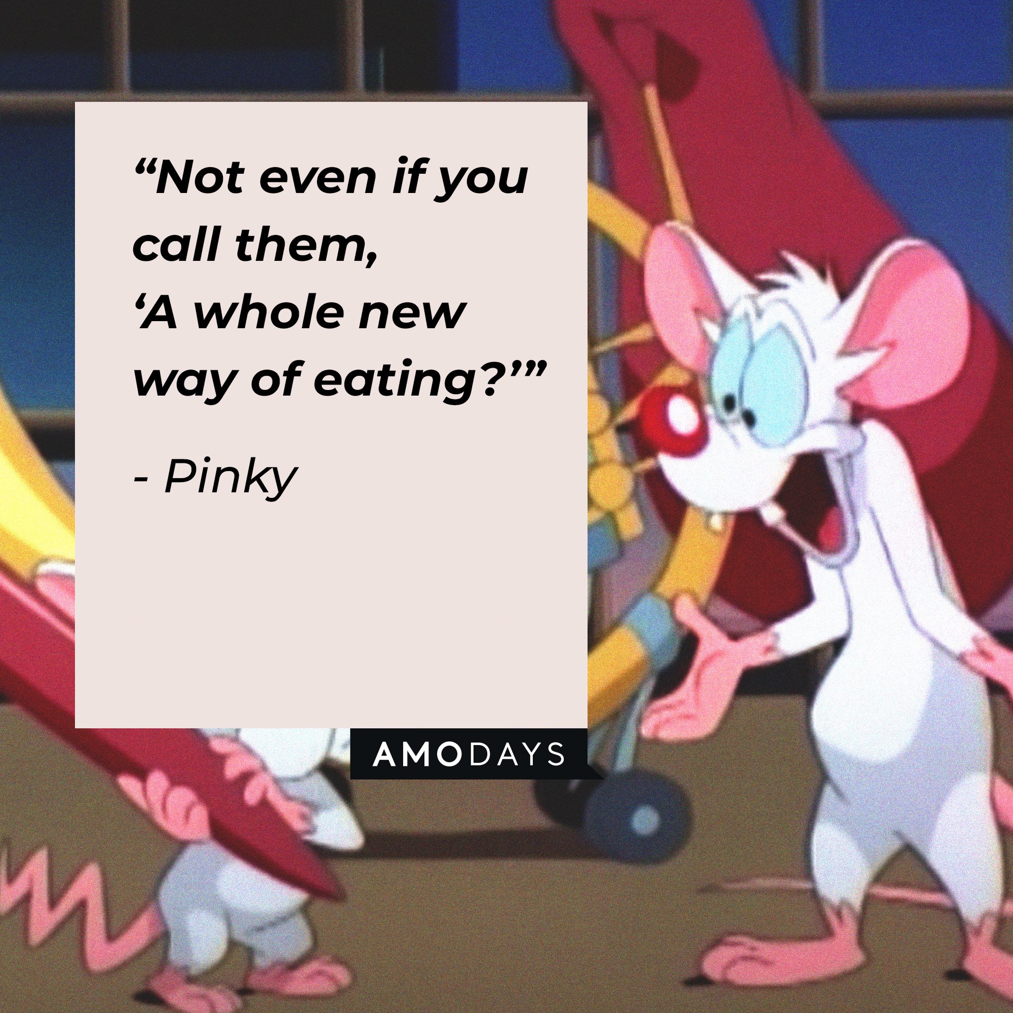  Pinky's quote: “Not even if you call them, ‘A whole new way of eating?’” | Image: AmoDays 