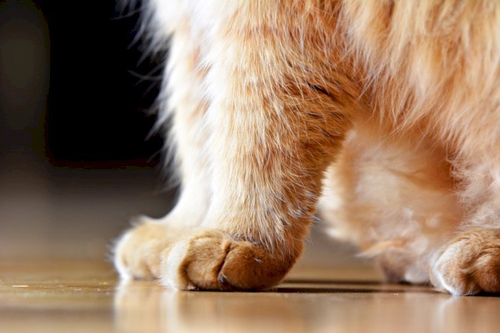 Source : Shutterstock