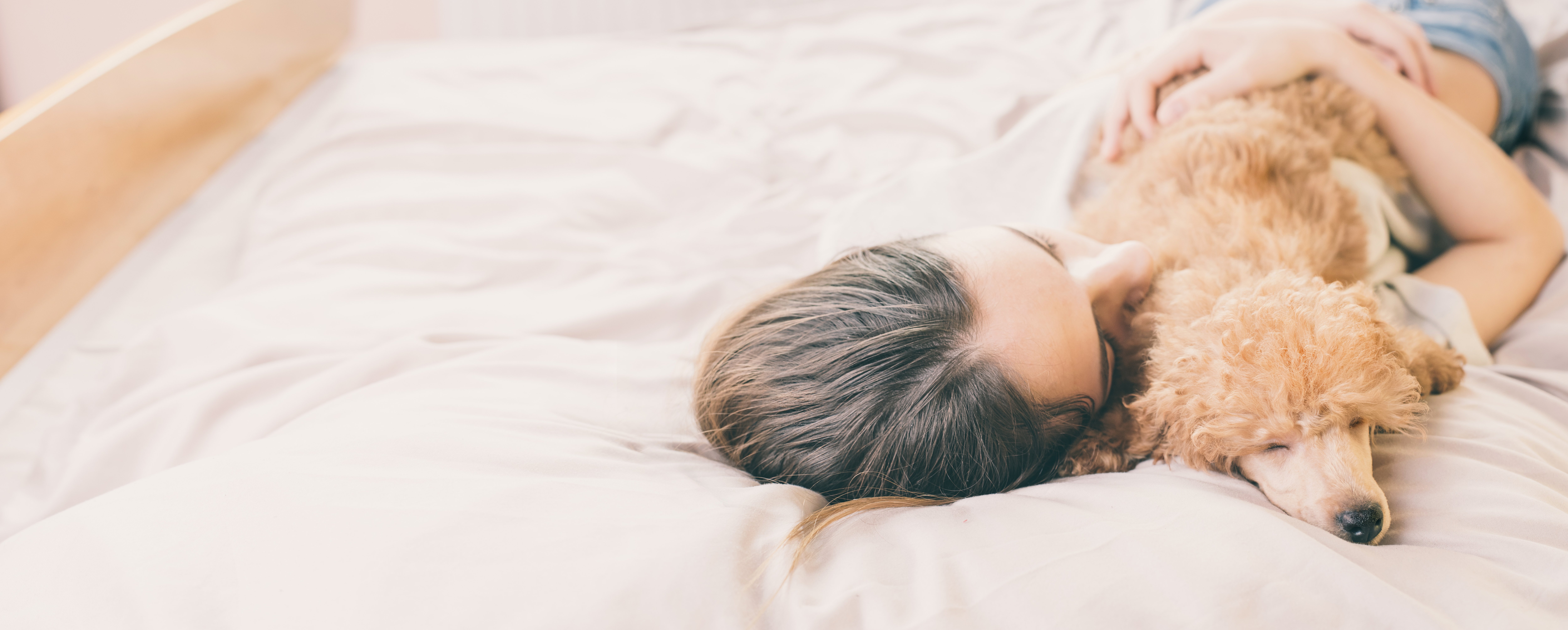 Mujer con perro abrazada en la cama. Fuente: Shutterstock