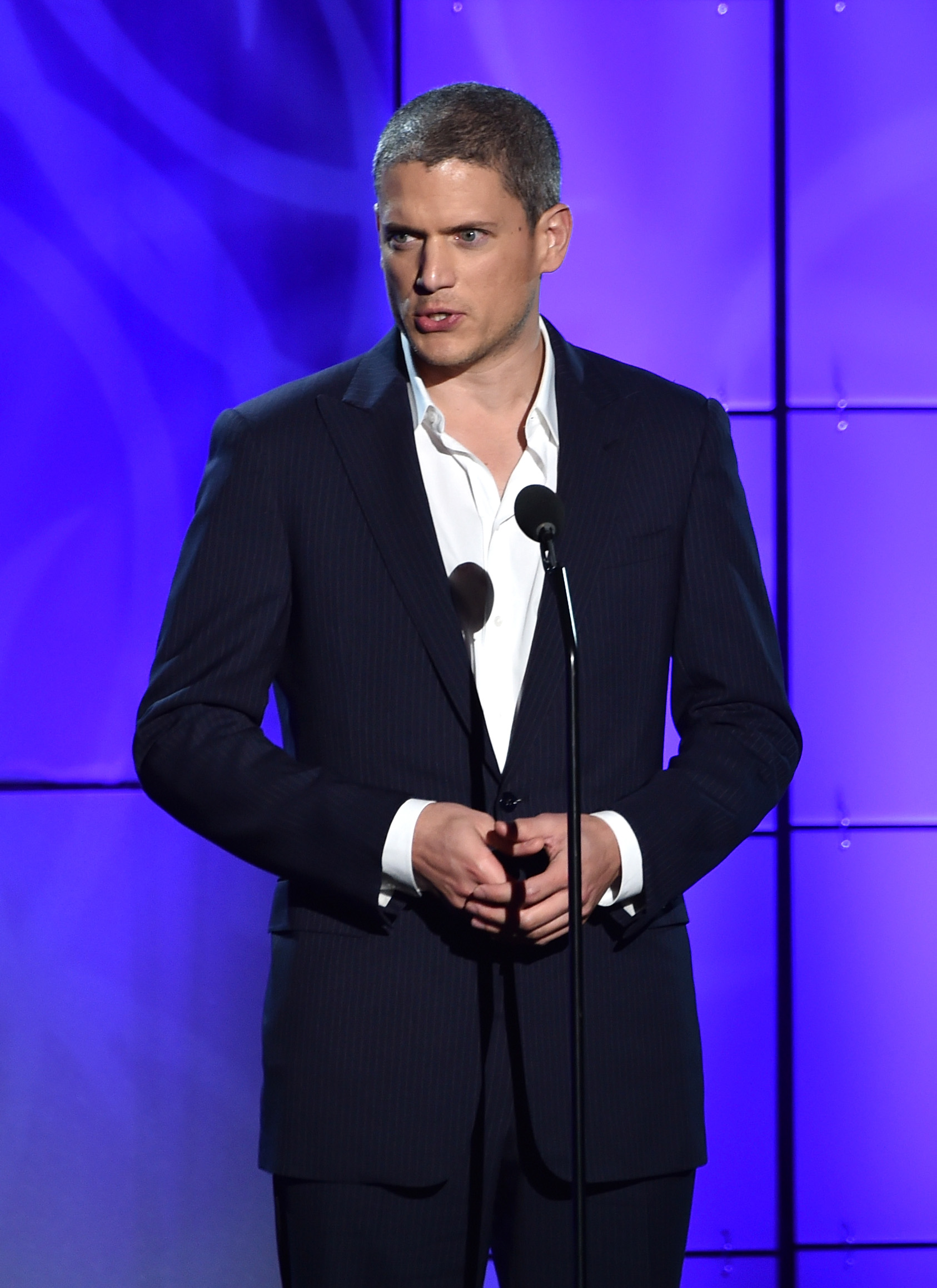 Wentworth Miller speaks onstage during "TrevorLIVE LA" Honoring Robert Greenblatt, Yahoo and Skylar Kergil for The Trevor Project on December 7, 2014, in Los Angeles, California. | Source: Getty Images