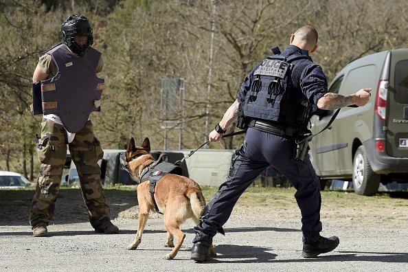 Un chien de la police française et son maître-chien. | Photo : Getty Images