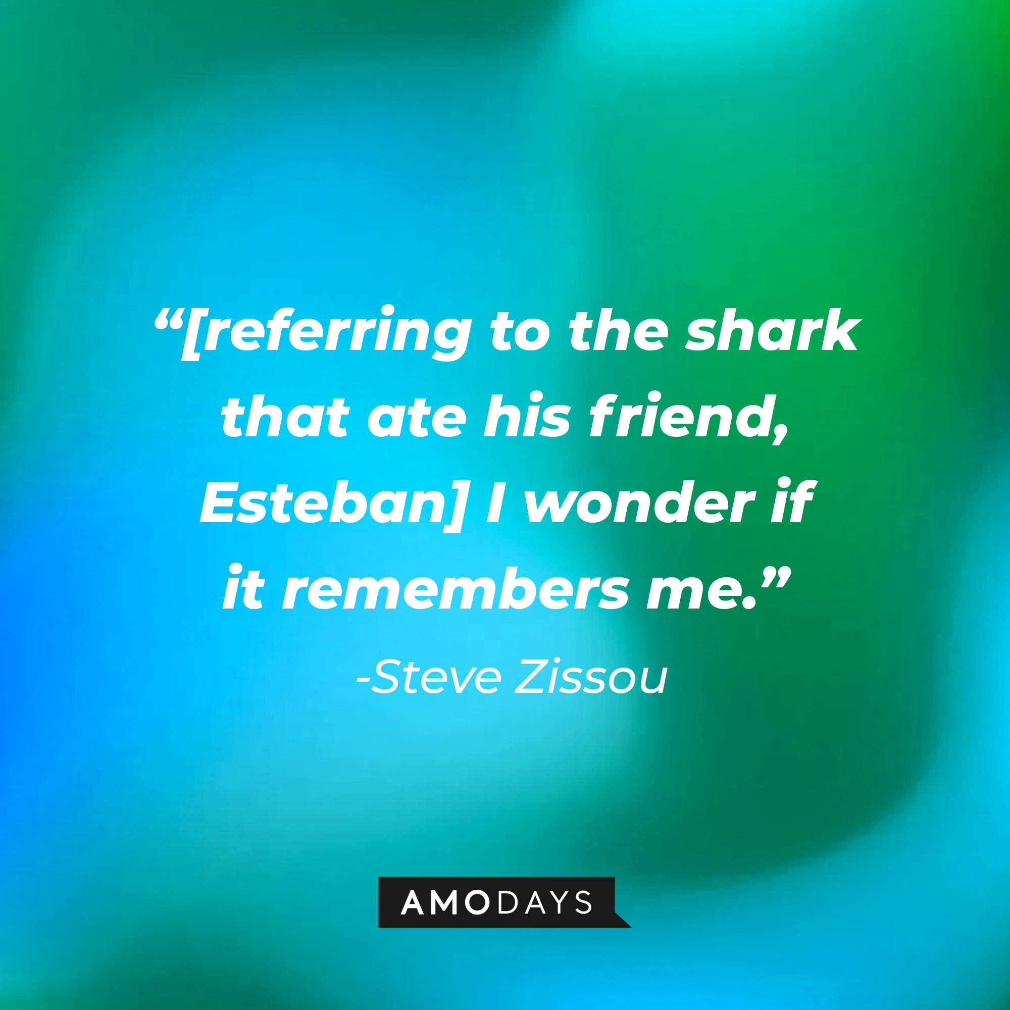 A photo with the quote, "[referring to the shark that ate his friend, Esteban] I wonder if it remembers me." | Source: Amodays