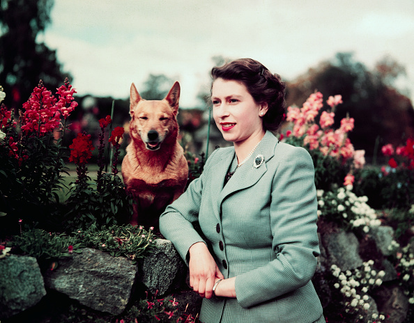 Image Credit: Getty Images Image Credit: Getty Images