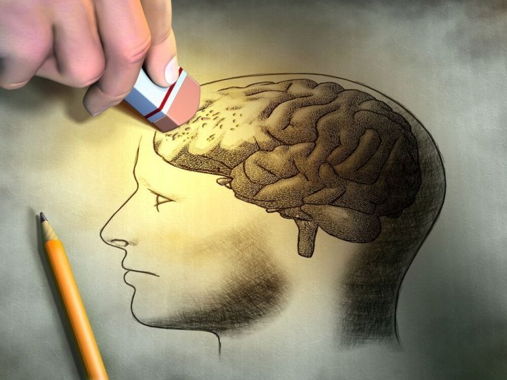 Imagen tomada de: Shutterstock Imagen tomada de: Shutterstock