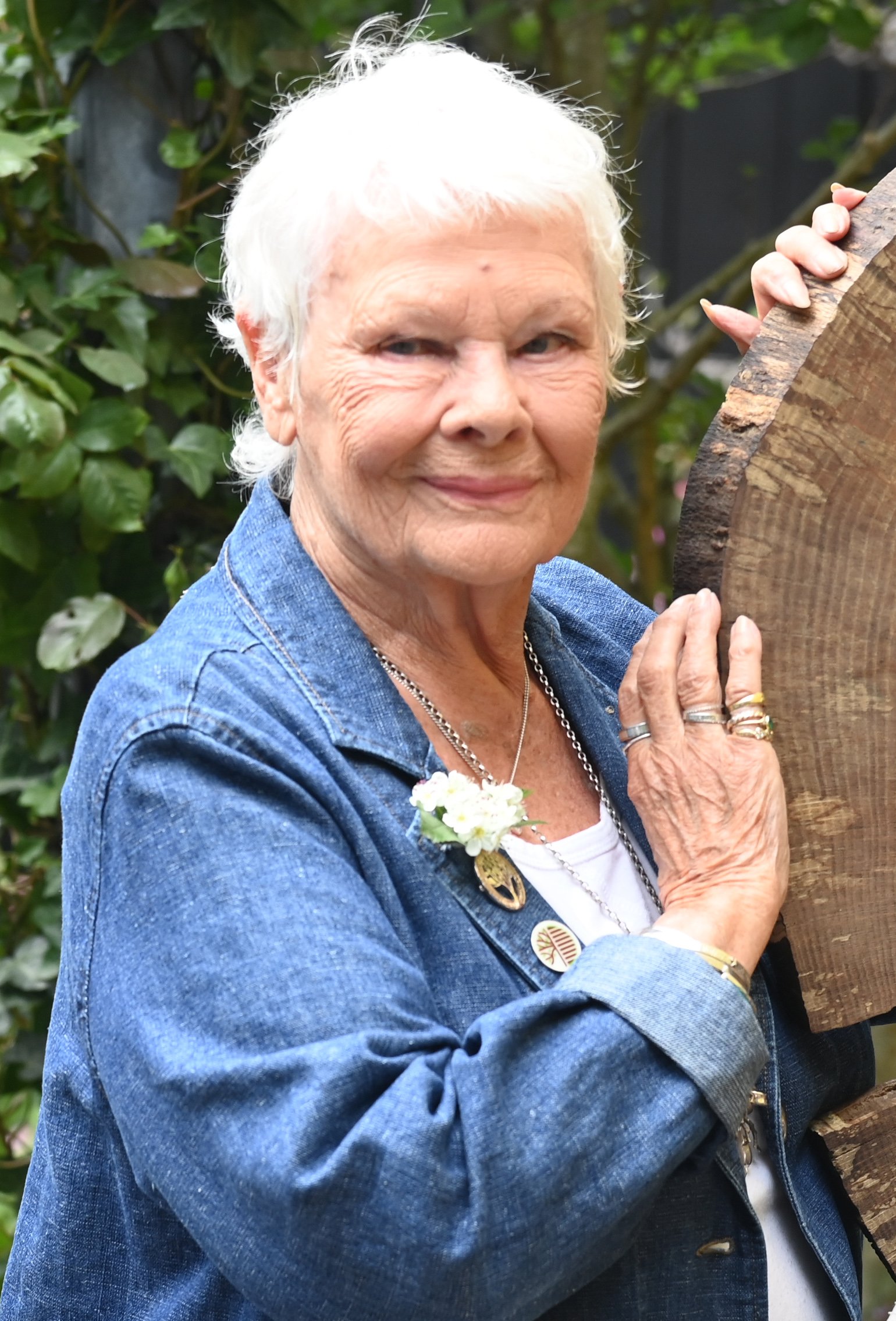Judy Dench attends press day at the RHS Chelsea Flower Show at The Royal Hospital Chelsea on May 23, 2022, in London, England. | Source: Getty Images