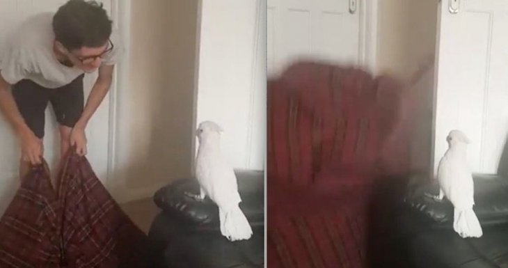 Source : YouTube/Moldy Bro Source : YouTube/Moldy Bro