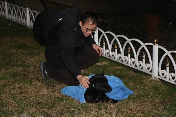 Huseyin Yurtseven fue visto cubriendo a un perro negro con una manta para mantenerlo caliente durante la noche fría en Estambul, Turquía. | Foto: Getty Images