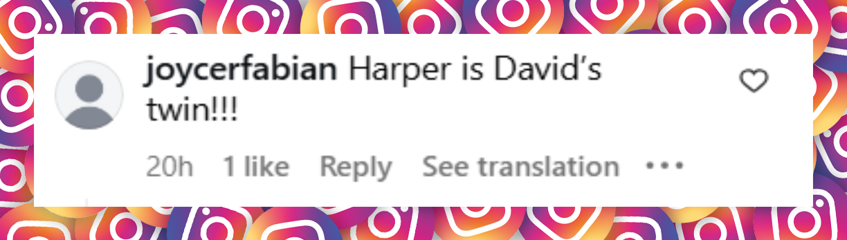 A netizen's commentary on Harper Beckham's appearance at the premiere of Netflix's "Victoria Beckham" on October 9, 2025 | Source: Instagram/enews