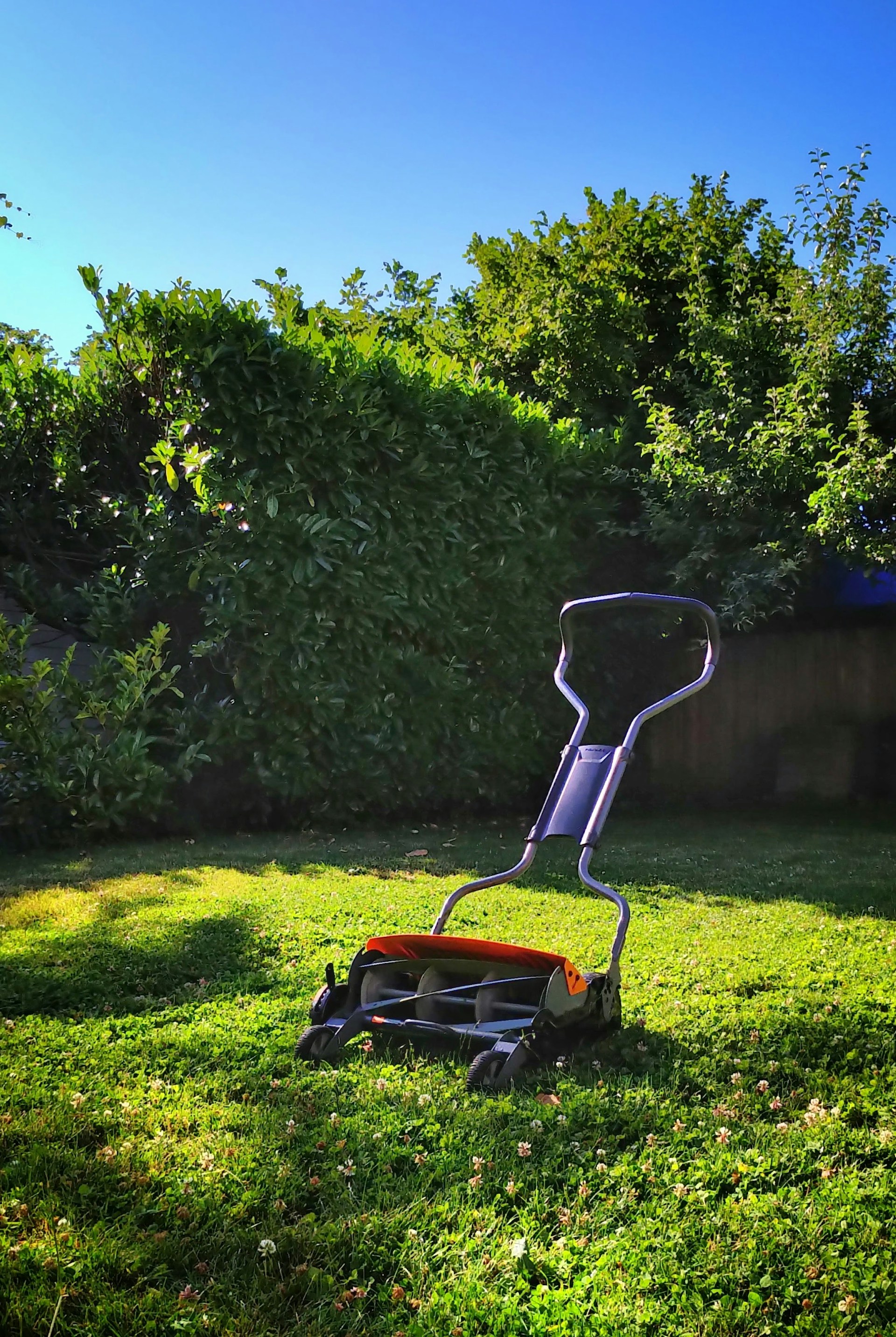 A lawn mower outside | Source: Unsplash