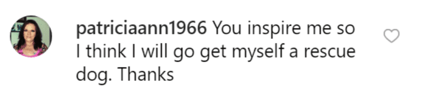 Fan's comment on Miranda Lambert's post. | Source: Instagram/mirandalambert