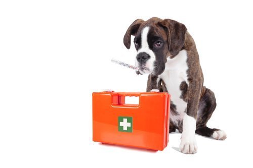 Quelle: Shutterstock