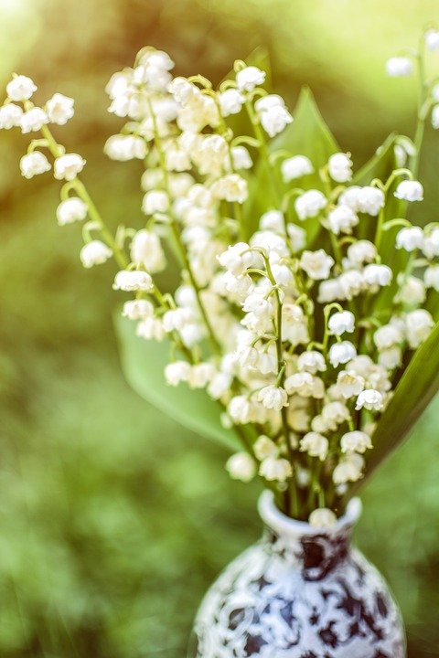 Fleur de muguet. | Photo : Pixabay