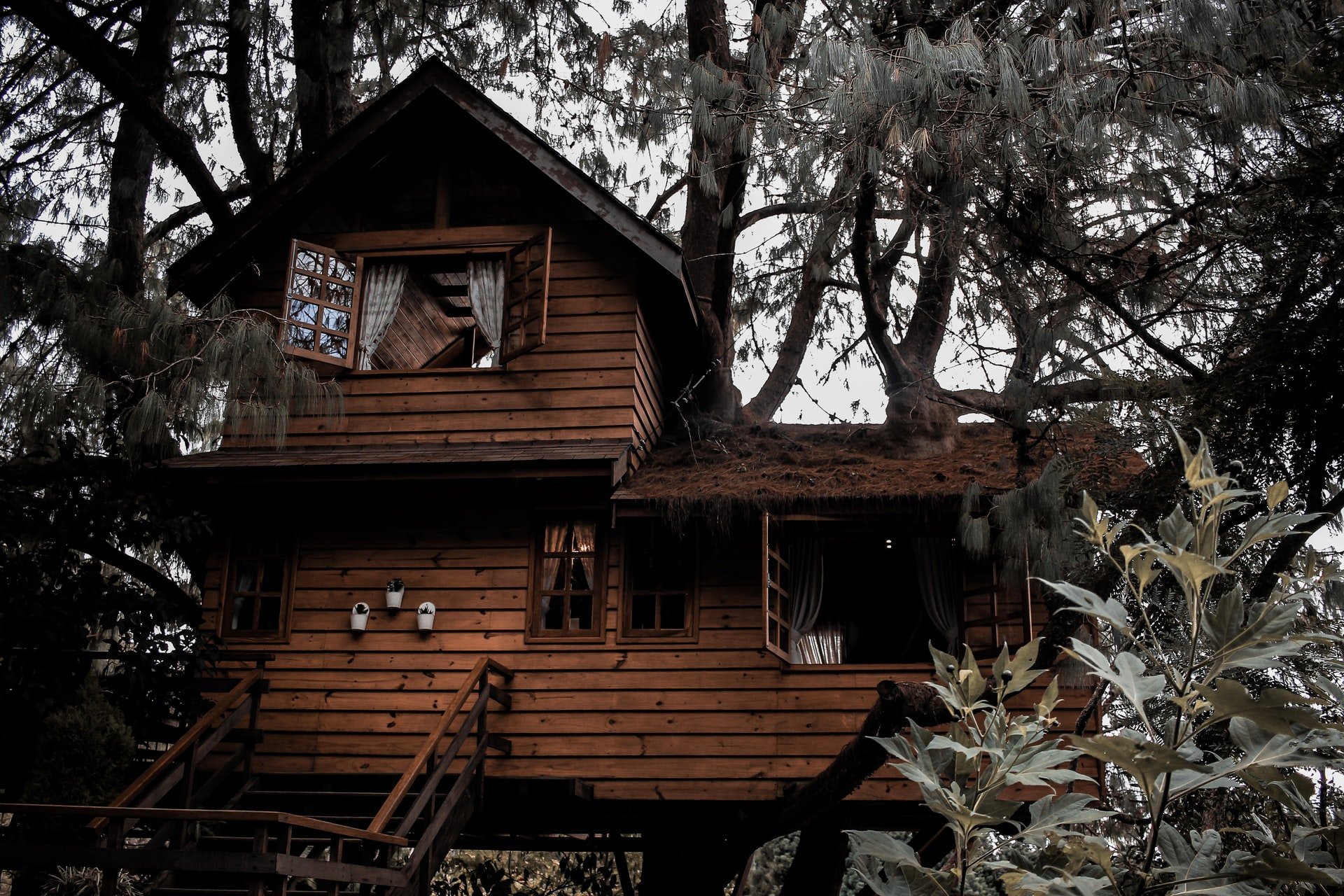 Other users said OP was at fault for making her son sleep in the tree house | Source: Unsplash