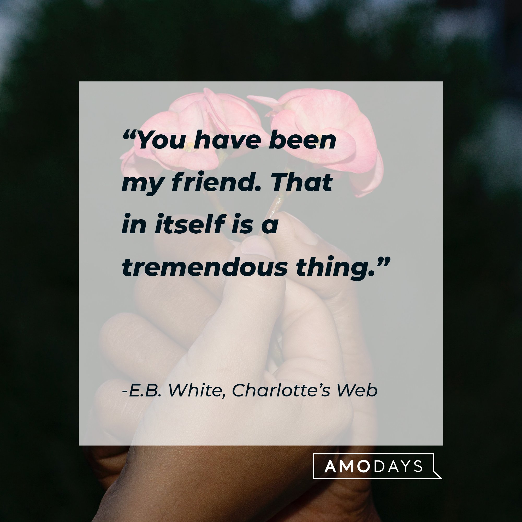 E.B. White’s quote: “You have been my friend. That in itself is a tremendous thing.”  | Image: AmoDays