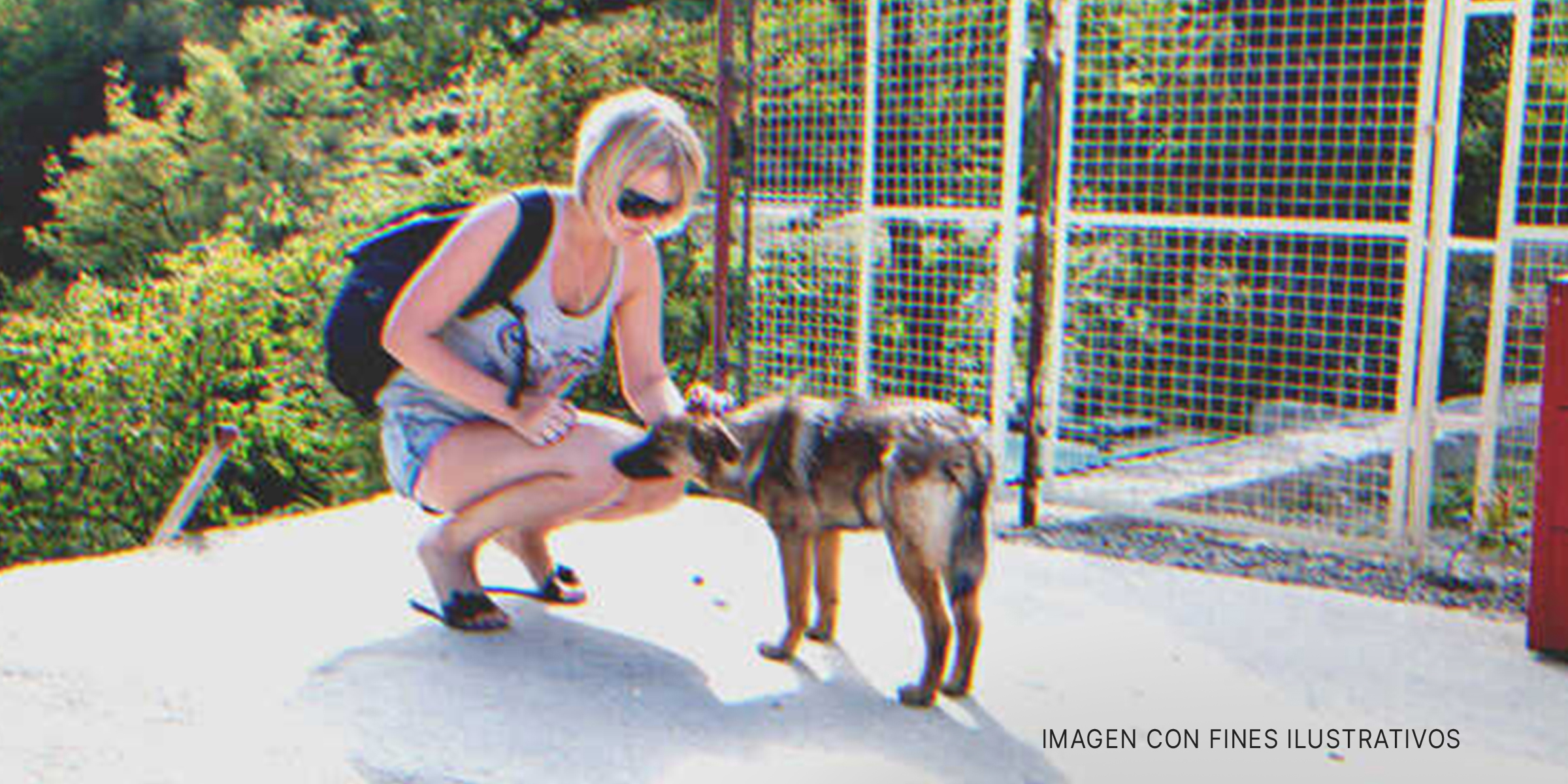 Mujer acariciando a un perro. | Foto: Shutterstock