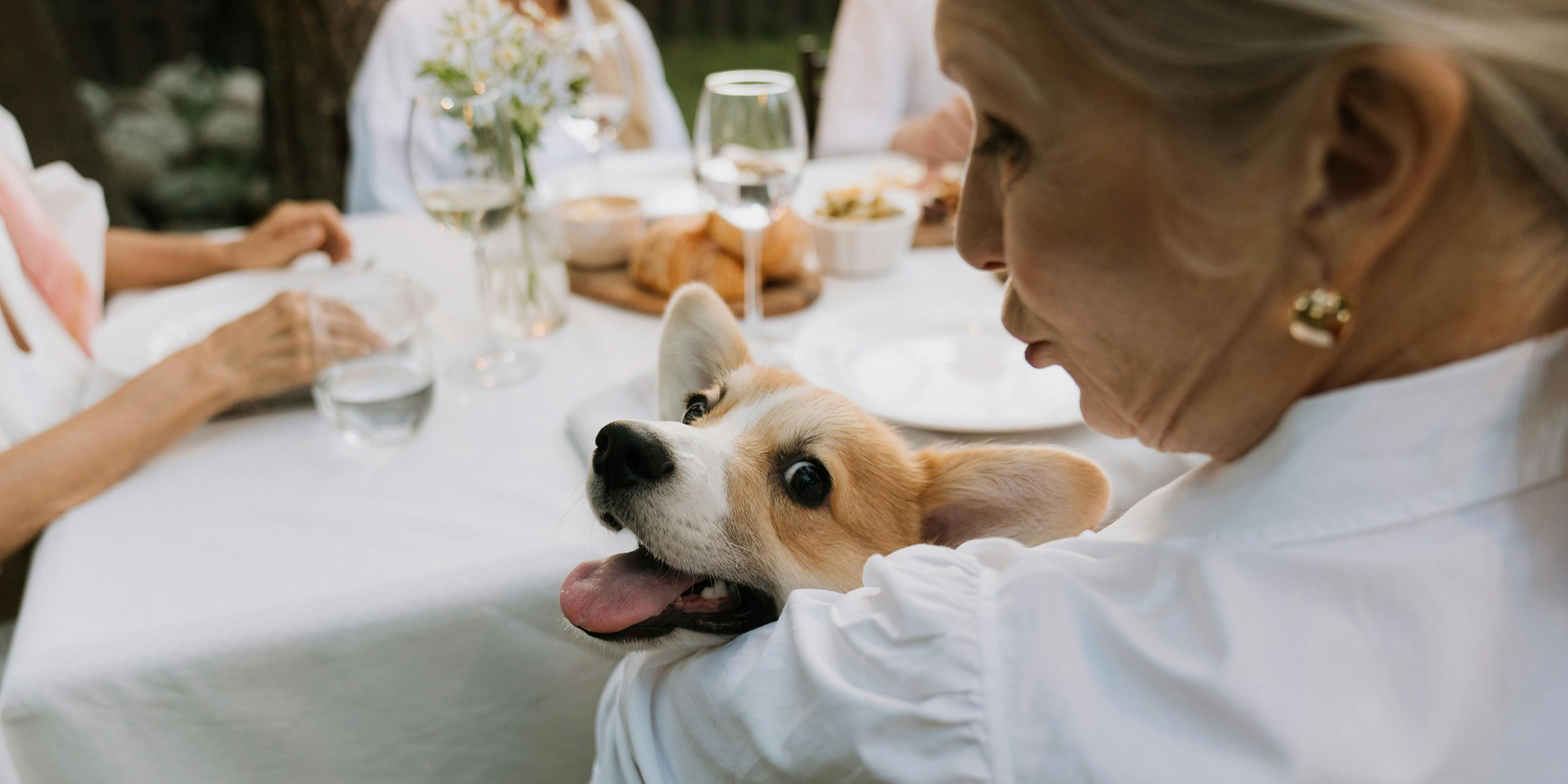 Elderly woman with a corgi | Source: Shutterstock