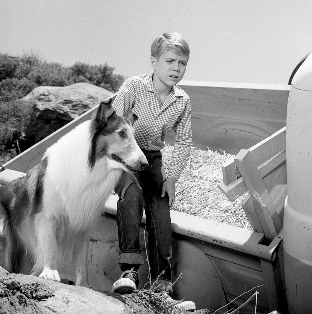 Jon Provost as Timmy Martin with Baby as Lassie in the television show, "Lassie" on June 25, 1963, in Burbank, California. | Source: CBS/Getty Images