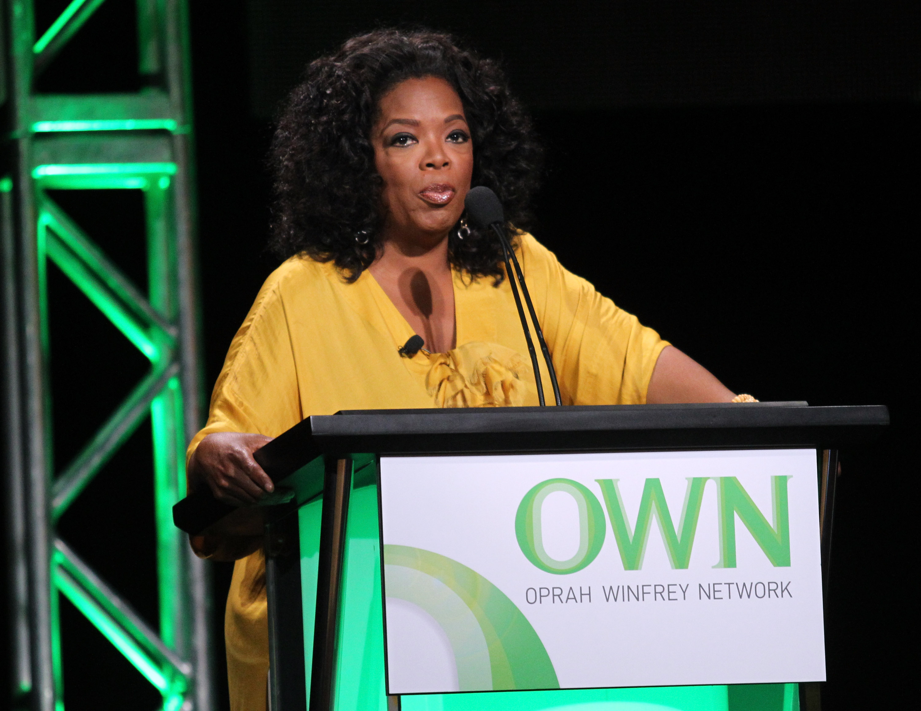 TV host Oprah Winfrey speaks during the "The Rosie Show" panel during the OWN portion of the 2011 Summer TCA Tour at the Beverly Hilton Hotel on July 29, 2011 in Beverly Hills, California | Source: Getty Images