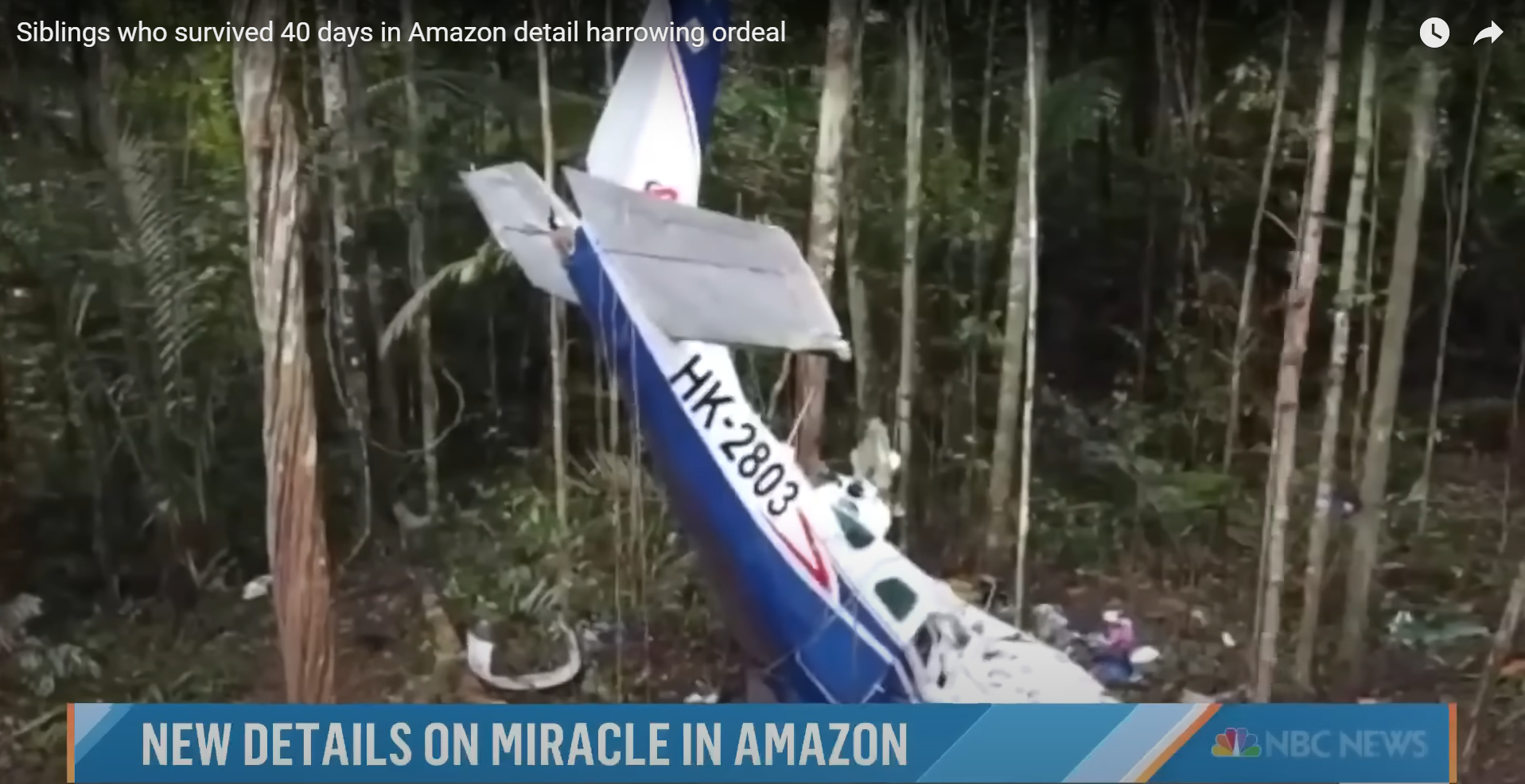 The Cessna 206 aircraft wreckage that was found in the Amazonas' Araracuara in May 2023 | Source: YouTube/TODAY