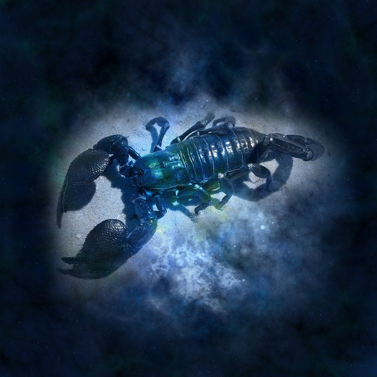 An illustration of the Zodiac sign for Scorpio | Photo: Pixabay/Gerd Altmann