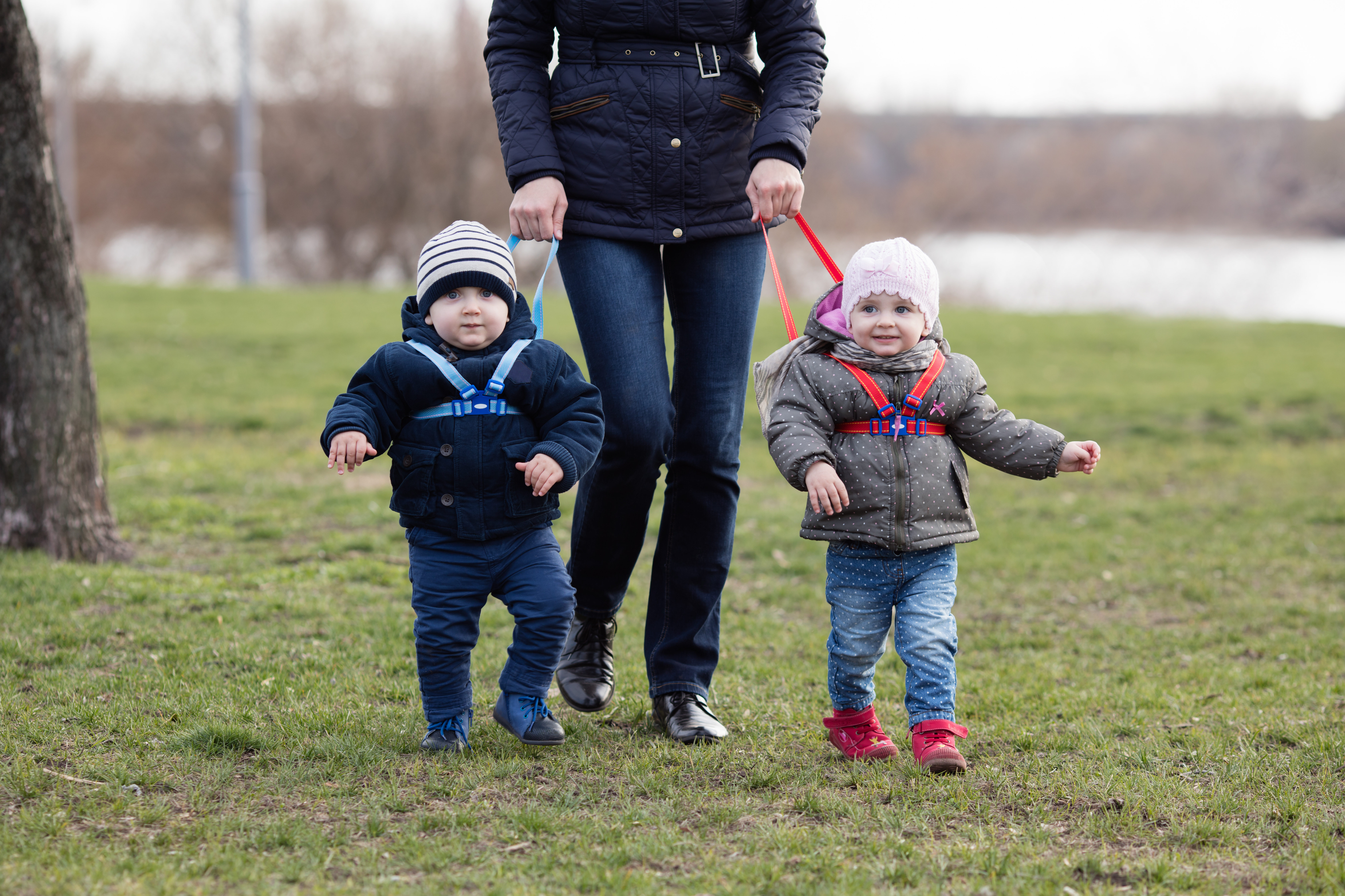 A woman walking with two children on leashes | Source: Shutterstock