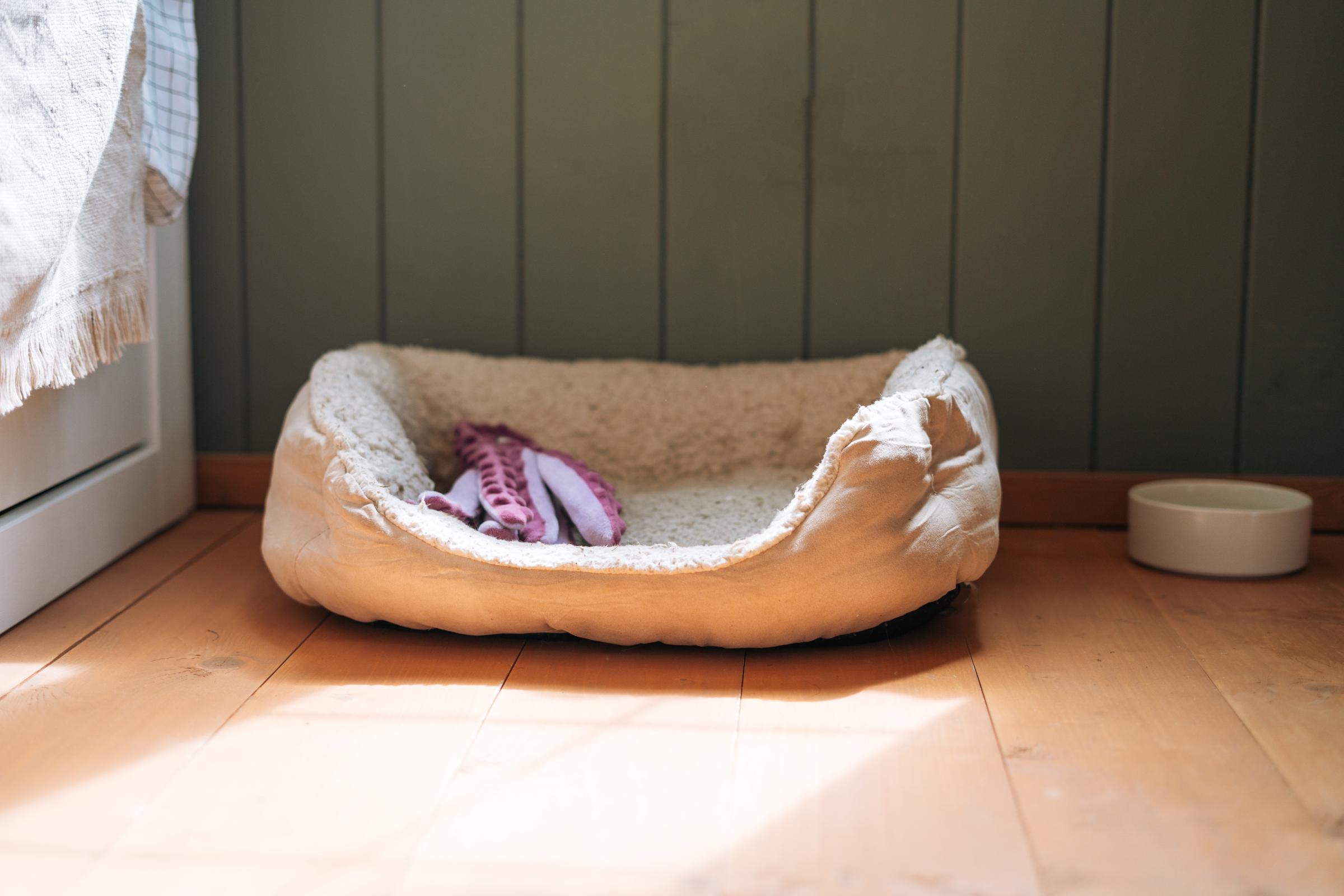 An empty dog bed in a bedroom | Source: Getty Images