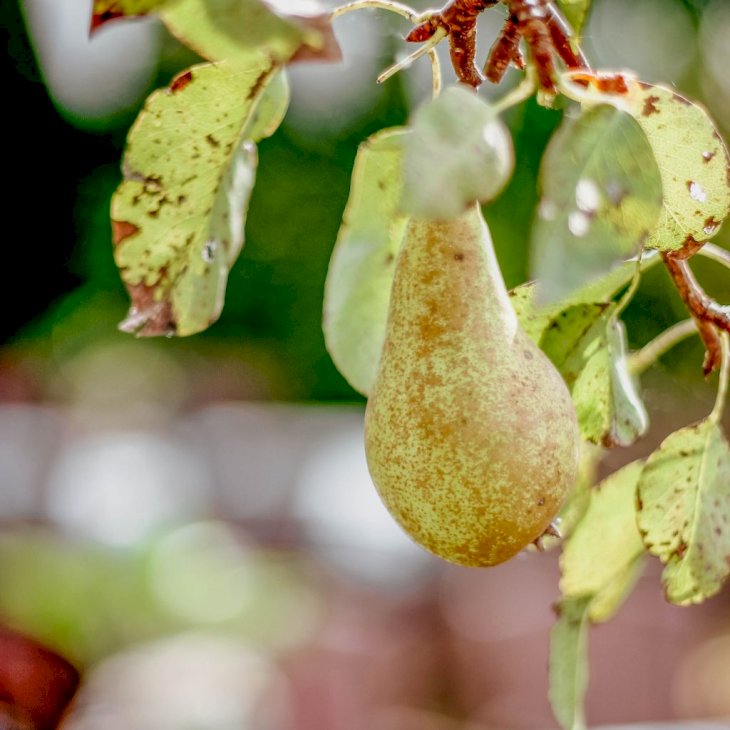 Photo by Michelle Henderson on Unsplash