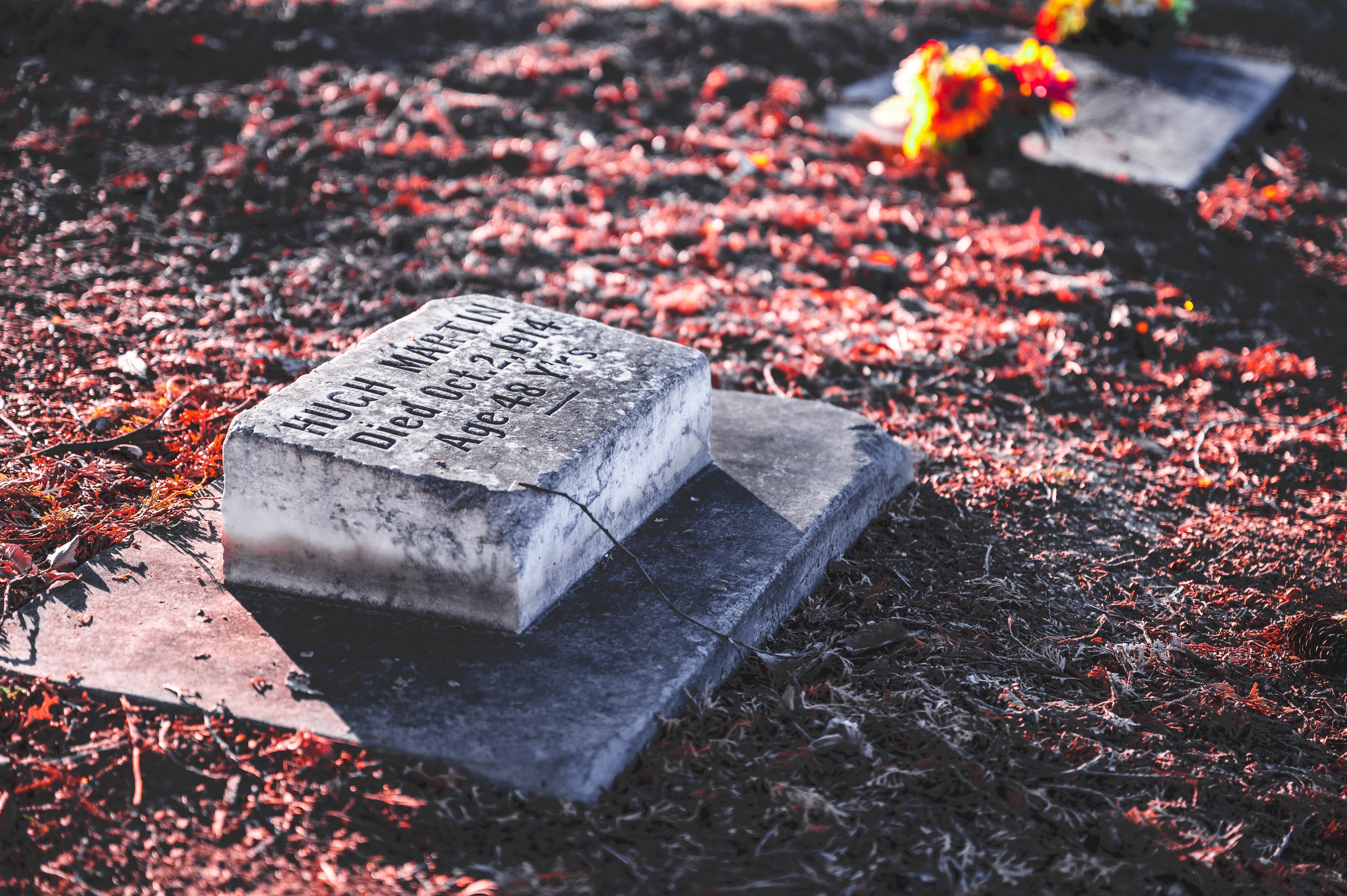 The dates on the headstones might help in finding the roots of the deceased, claim professionals | Photo: Pexels