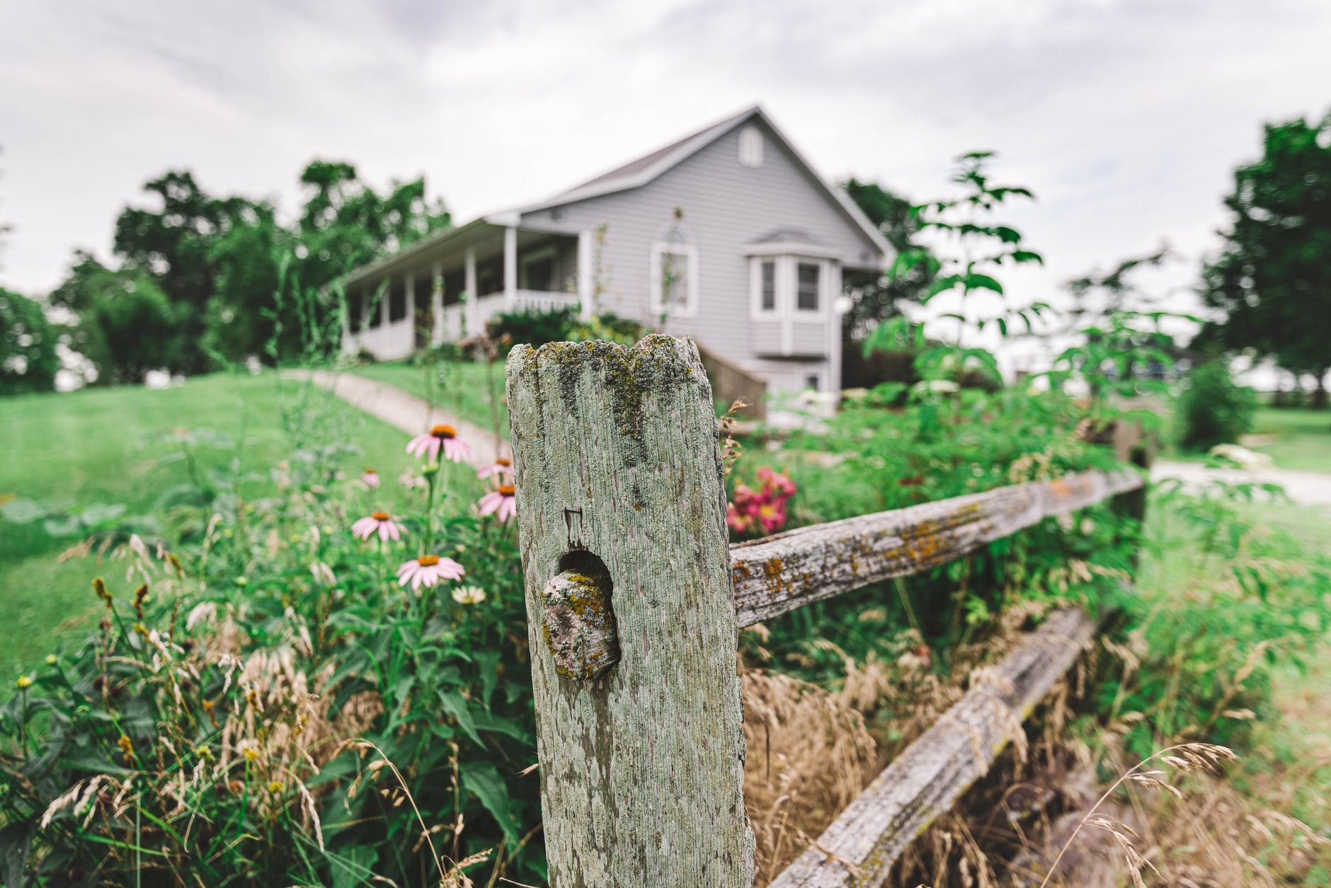 They went to Mark's address. | Source: Pexels