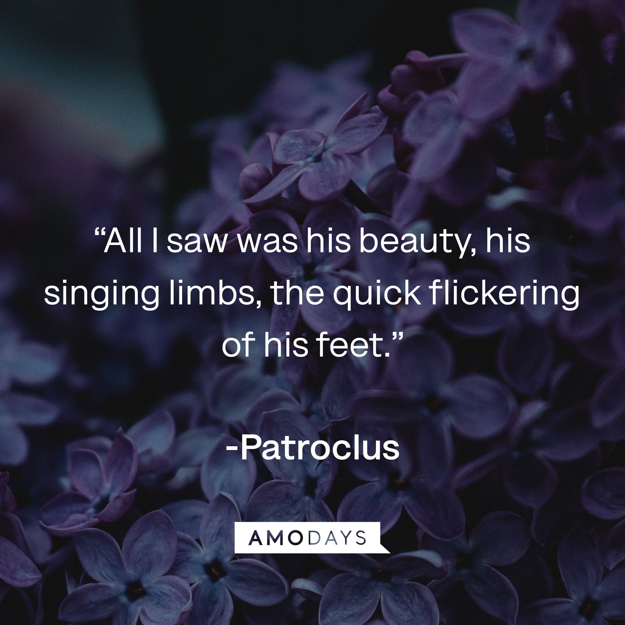 Patroclus's quote: “All I saw was his beauty, his singing limbs, the quick flickering of his feet.” | Image: AmoDays