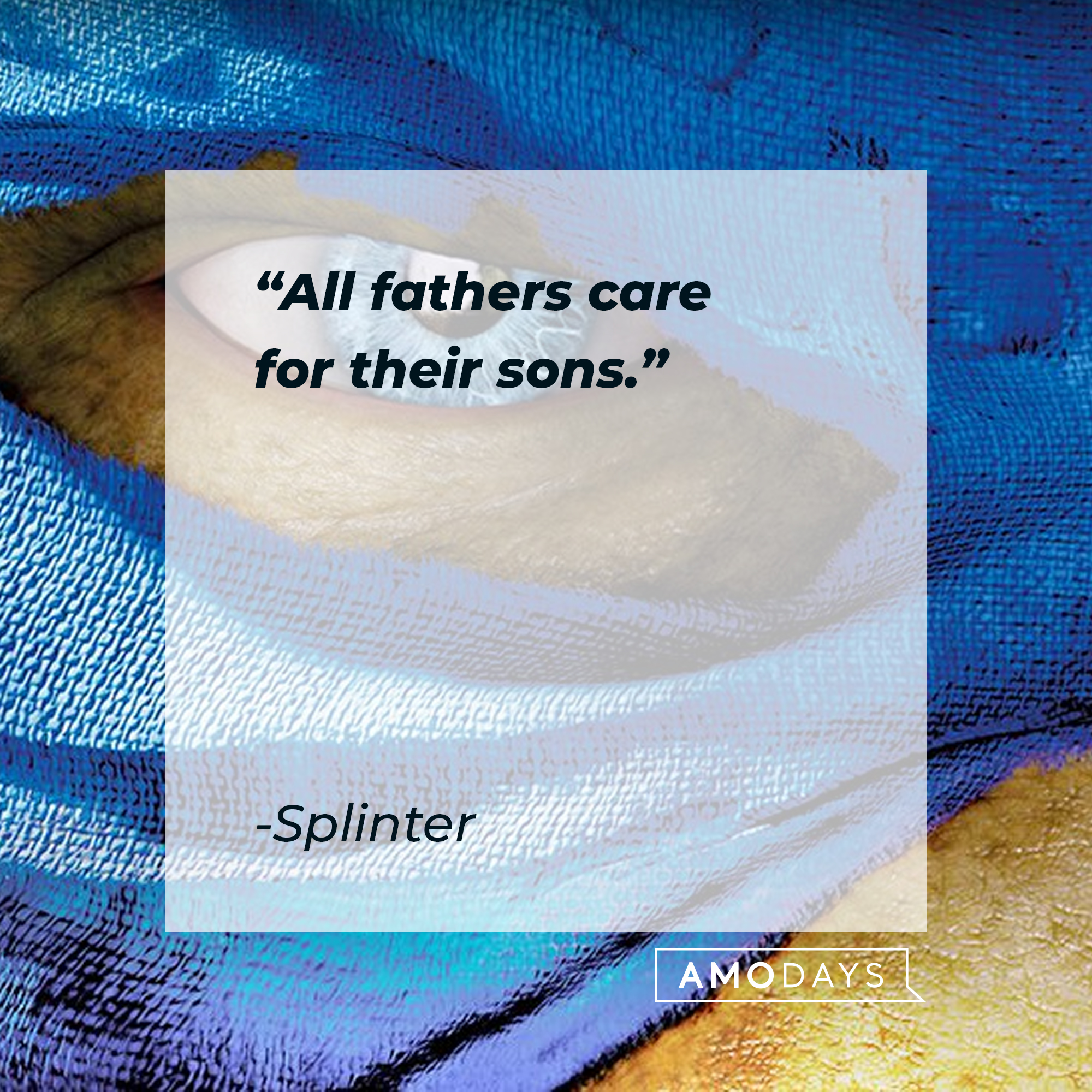 Splinters' quote: "All fathers care for their sons." | Source: facebook.com/TMNT