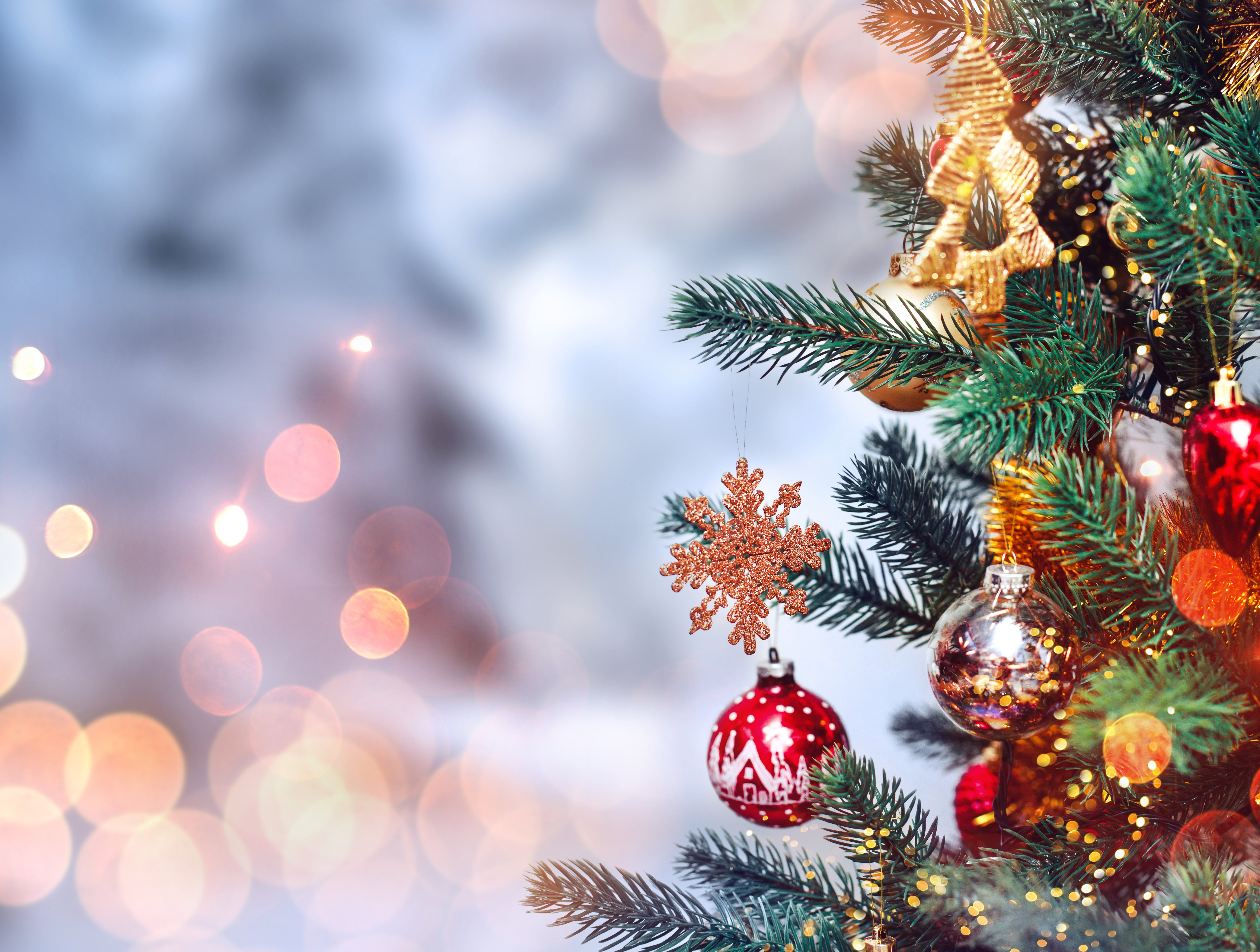 Christmas tree with lights | Photo: Shutterstock